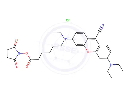 Chemical structure of 9-Cyano-N,N,N′-triethylpyronine-N′-caproic acid N-hydroxysuccinimide ester chloride