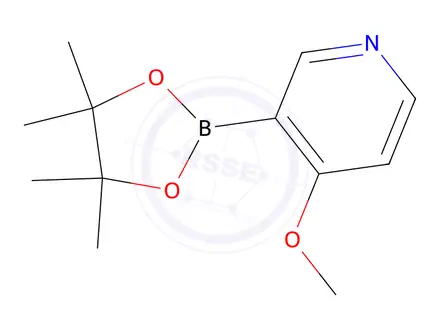 Chemical structure of 4-Methoxypyridine-3-boronic acid pinacol ester