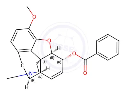 Chemical structure of 6-Isocodeine Benzoate