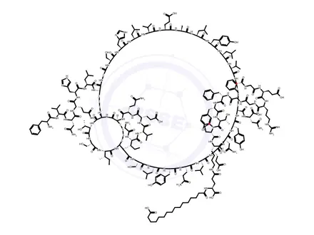 Chemical structure of Insulin Degludec
