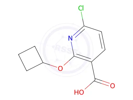 Chemical structure of 6-Chloro-2-cyclobutoxypyridine-3-carboxylic Acid