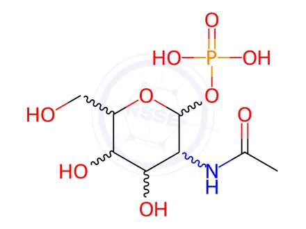 Chemical structure of GlcNAc-1-P