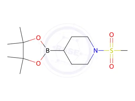Chemical structure of 1-(methylsulfonyl)-4-(4,4,5,5-tetramethyl-1,3,2-dioxaborolan-2-yl)piperidine