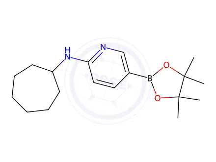 Chemical structure of N-Cycloheptyl-5-(tetramethyl-1,3,2-dioxaborolan-2-yl)pyridin-2-amine