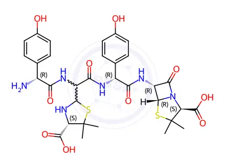 Chemical structure of Amoxicillin dimer