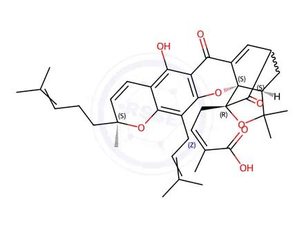 Chemical structure of Epigambogic acid