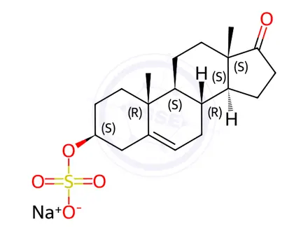 Chemical structure of Sodium Prasterone Sulfate