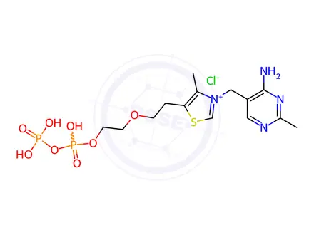 Chemical structure of 2-(1-hydroxyethyl)thiamine pyrophosphate