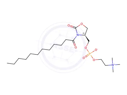 Chemical structure of 3-dodecanoyl-4-phosphatidylcholinohydroxymethyl-2-oxazolidinone