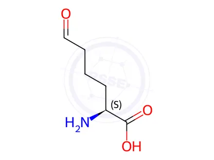Chemical structure of Allysine