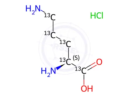 Chemical structure of L-Ornithine hydrochloride-[13C5]