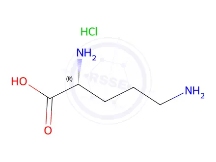 Chemical structure of D-Ornithine Hydrochloride