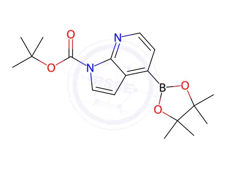 Chemical structure of tert-Butyl 4-(4,4,5,5-tetramethyl-1,3,2-dioxaborolan-2-yl)-1H-pyrrolo[2,3-b]pyridine-1-carboxylate