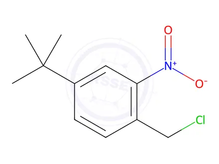 Chemical structure of 1-(chloromethyl)-2-nitro-4-tert-butyl-benzene