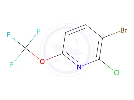 Chemical structure of 3-Bromo-2-chloro-6-(trifluoromethoxy)pyridine