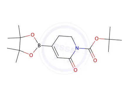 Chemical structure of tert-butyl 5,6-dihydro-4-(4,4,5,5-tetramethyl-1,3,2-dioxaborolan-2-yl)-2-oxopyridine-1(2H)-carboxylate