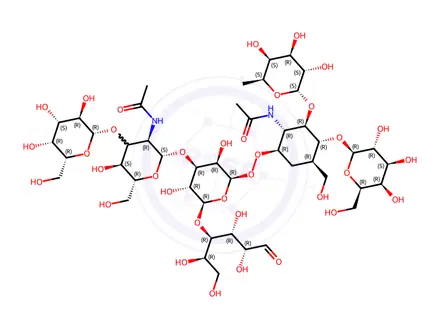 Chemical structure of monofucosyllacto-N-hexaose III