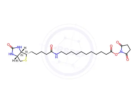 Chemical structure of 2,5-Dioxopyrrolidin-1-yl 11-(5-((3aS,4S,6aR)-2-oxohexahydro-1H-thieno[3,4-d]imidazol-4-yl)pentanamido)undecanoate
