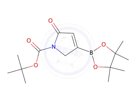 Chemical structure of Tert-butyl 2-oxo-4-(4,4,5,5-tetramethyl-1,3,2-dioxaborolan-2-yl)-2,5-dihydro-1H-pyrrole-1-carboxylate