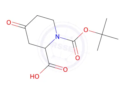 Chemical structure of 1-tert-butoxycarbonyl-4-oxo-piperidine-2-carboxylic acid