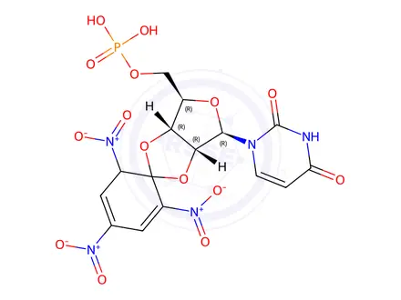 Chemical structure of 2',3'-O-(2,4,6--trinitrocyclohexadienylidene)uridine 5'-monophosphate