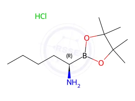 Chemical structure of (R)-1-(4,4,5,5-Tetramethyl-1,3,2-dioxaborolan-2-yl)pentan-1-amine hydrochloride