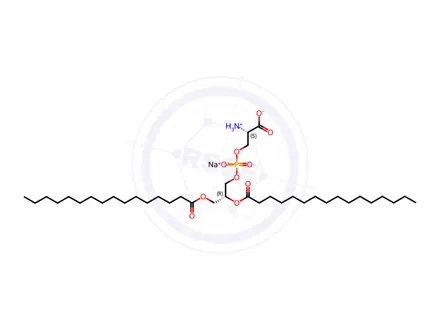 Chemical structure of 16:0 PS