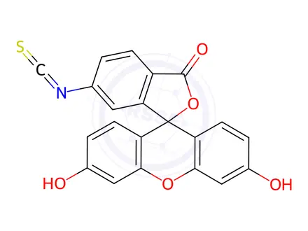 Chemical structure of Fluorescein 6-Isothiocyanate, Isomer 2