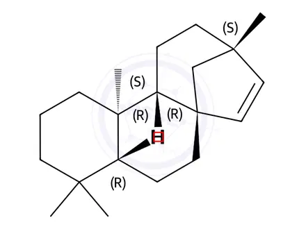 Chemical structure of (+)-15-Beyerene