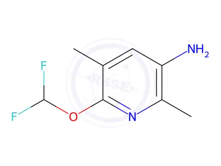 Chemical structure of 6-(Difluoromethoxy)-2,5-dimethylpyridin-3-amine