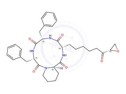 Chemical structure of trapoxin A