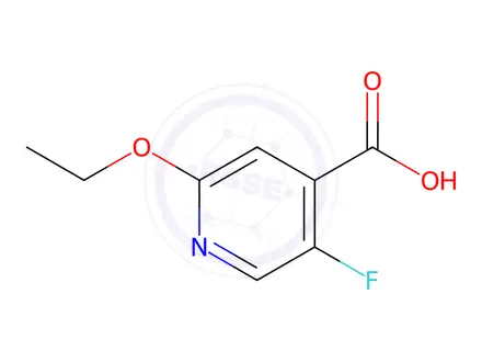 Chemical structure of 2-Ethoxy-5-fluoroisonicotinic Acid