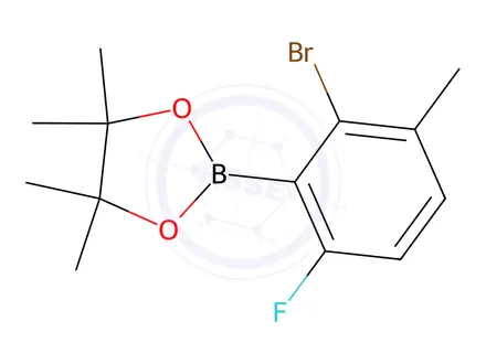 Chemical structure of 2-Bromo-6-fluoro-3-methylphenylboronic acid pinacol ester