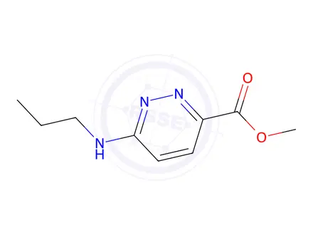 Chemical structure of 3-Pyridazinecarboxylicacid,6-(propylamino)-,methylester(9CI)