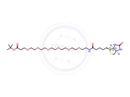 Chemical structure of Biotin-PEG6-t-butyl ester