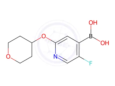 Chemical structure of [5-Fluoro-2-(oxan-4-yloxy)pyridin-4-yl]boronic acid