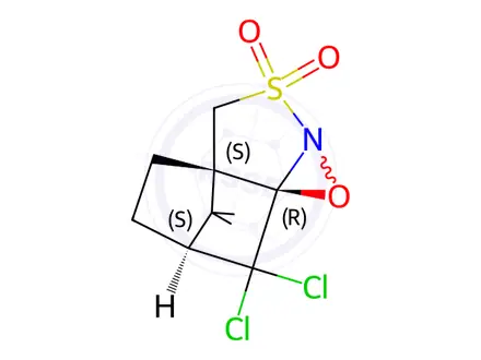 Chemical structure of (+)-[(8,8-Dichlorocamphoryl)sulfonyl]oxaziridine