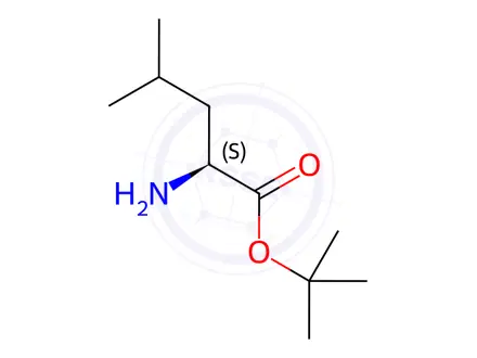 Chemical structure of tert-Butyl L-leucinate