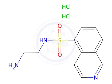 Chemical structure of N-(2-Aminoethyl)-5-isoquinolinesulfonamide Dihydrochloride