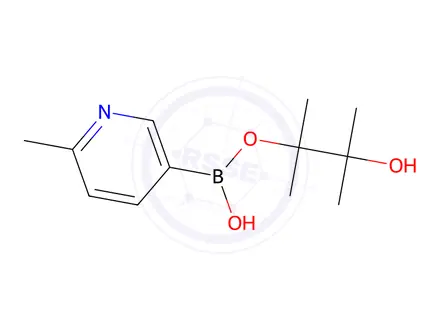 Chemical structure of 3-Hydroxy-2,3-dimethylbutan-2-yl hydrogen (6-methylpyridin-3-yl)boronate