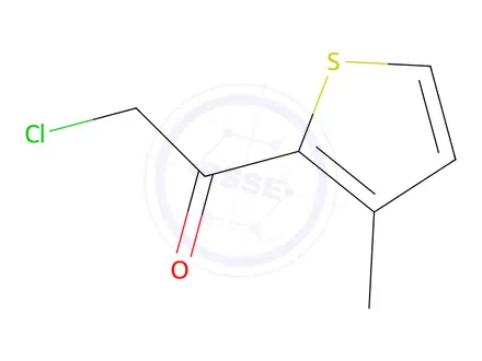 Chemical structure of 2-Chloro-1-(3-methyl-2-thienyl)-ethanone