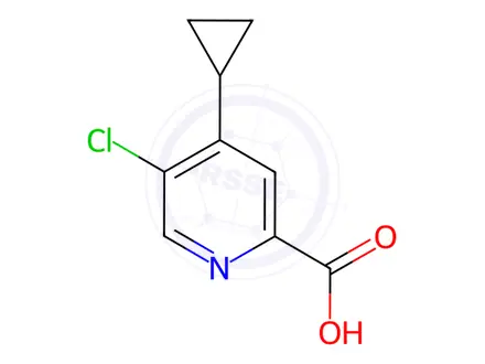 Chemical structure of 5-chloro-4-cyclopropylpyridine-2-carboxylic acid