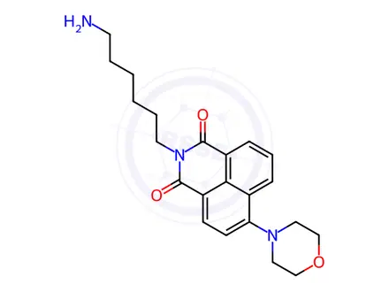 Chemical structure of 2-(6-aminohexyl)-6-morpholino-1H-benzo[de]isoquinoline-1,3(2H)-dione