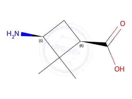 Chemical structure of (1R,3S)-3-amino-2,2-dimethylcyclobutane-1-carboxylic acid