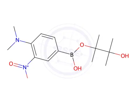 Chemical structure of N,N-Dimethyl-2-nitro-4-(4,4,5,5-tetramethyl-1,3,2-dioxaborolan-2-yl)aniline