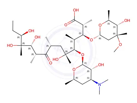 Chemical structure of seco Erythromycin