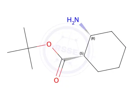Chemical structure of (1S,2R)-tert-Butyl 2-aminocyclohexanecarboxylate