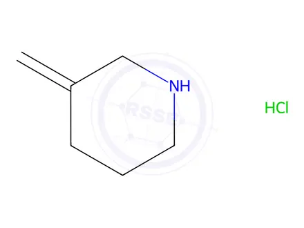 Chemical structure of 3-Methylenepiperidine hydrochloride