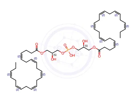 Chemical structure of Lecithin Impurity 54