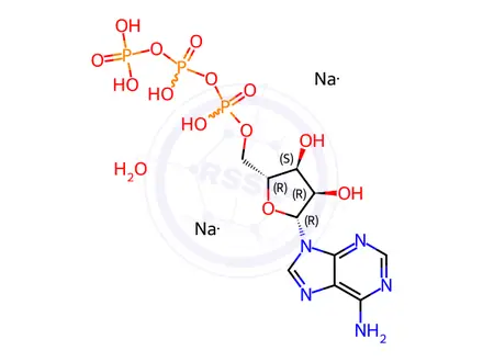 Chemical structure of Adenosine 5'-triphosphate disodium salt